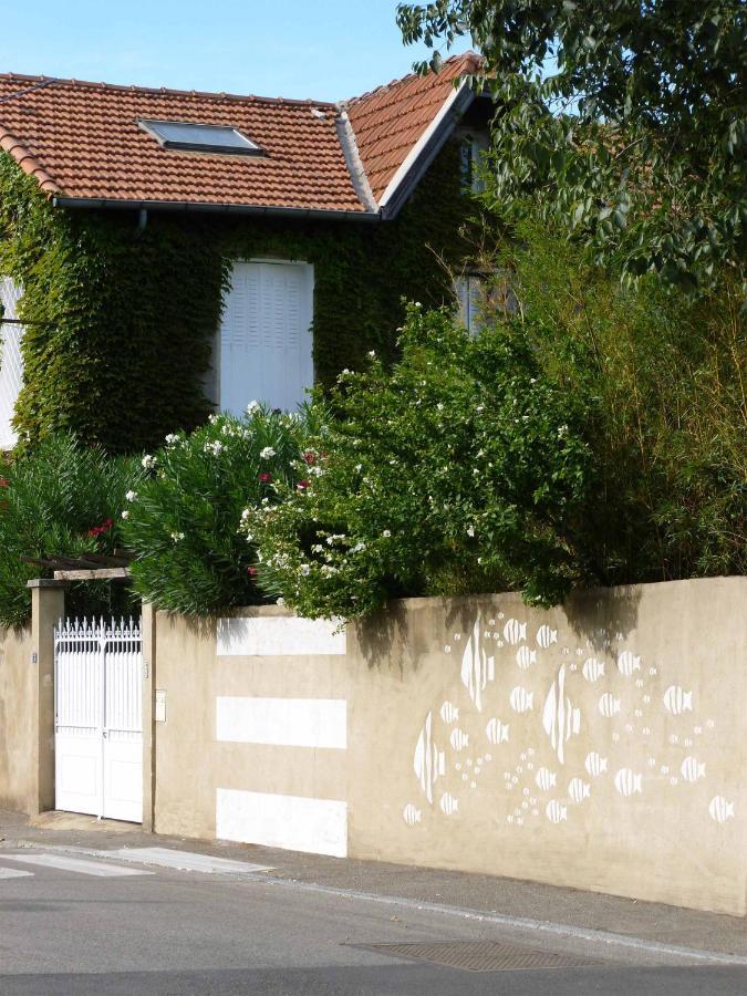Les Petits Poissons Avignon